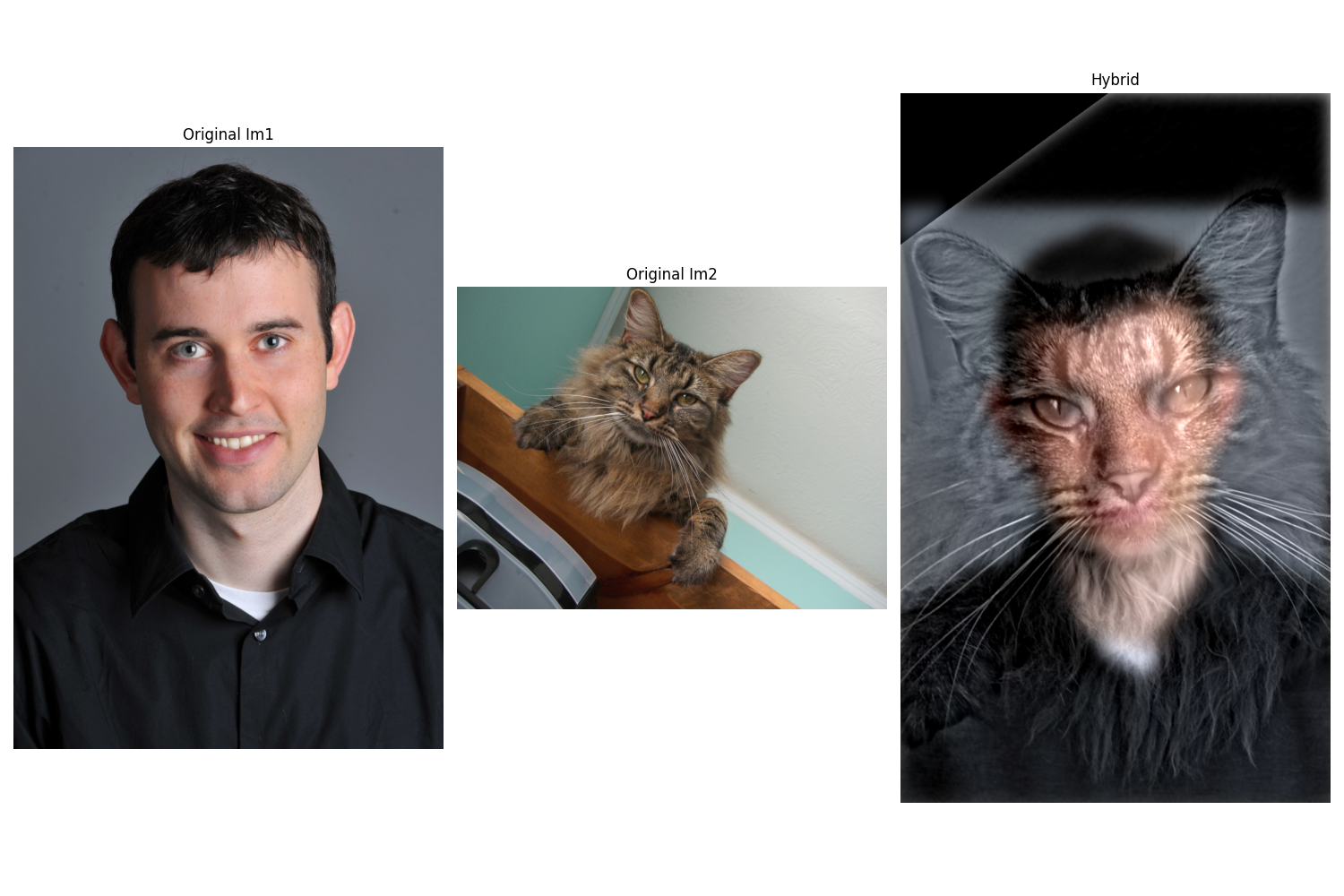 Derek and Cat hybrid