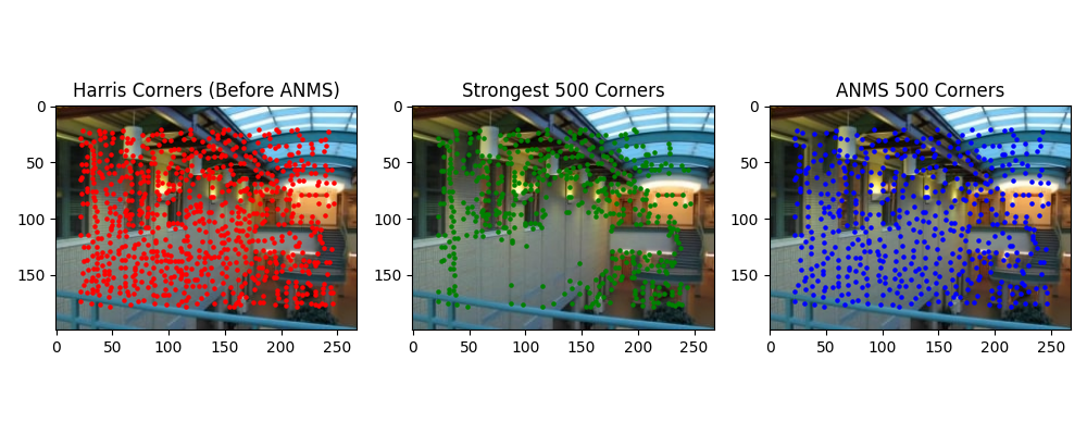 Harris & ANMS Corners