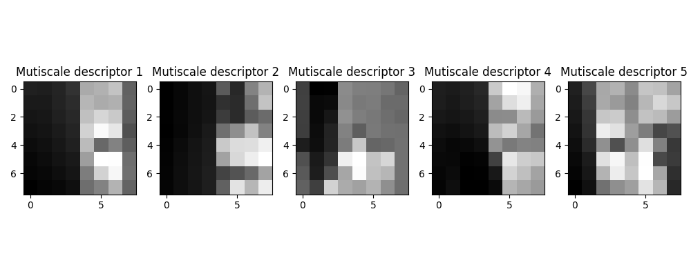 Multiscale Feature Matches